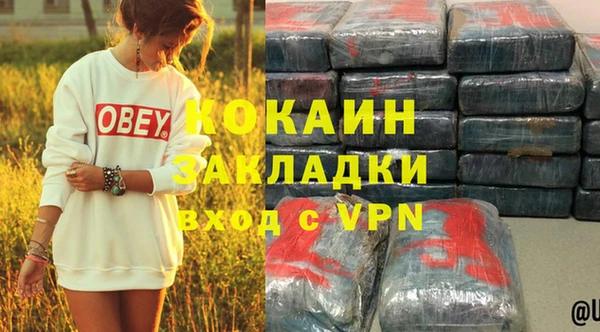 ПСИЛОЦИБИНОВЫЕ ГРИБЫ Богданович