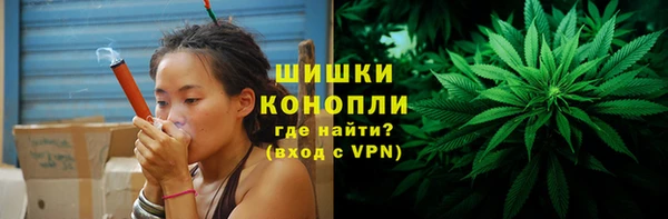 мдпв Бронницы