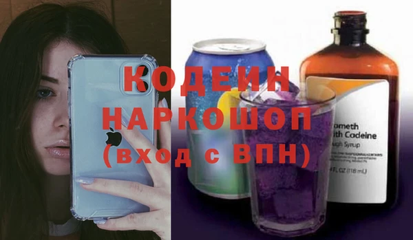 ПСИЛОЦИБИНОВЫЕ ГРИБЫ Богданович