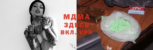 бошки Бородино