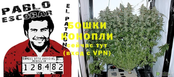 ПСИЛОЦИБИНОВЫЕ ГРИБЫ Богданович