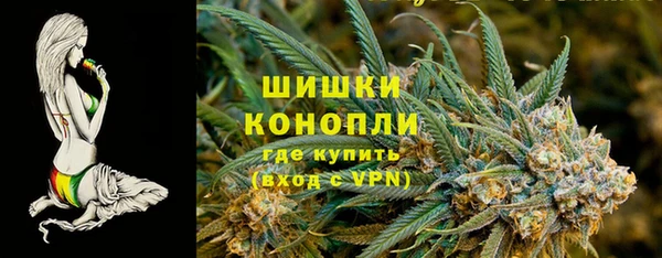 мдпв Бронницы