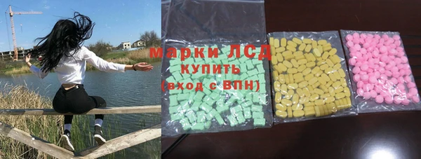 бошки Бородино