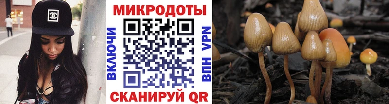 shop клад  Духовщина  Галлюциногенные грибы мицелий 